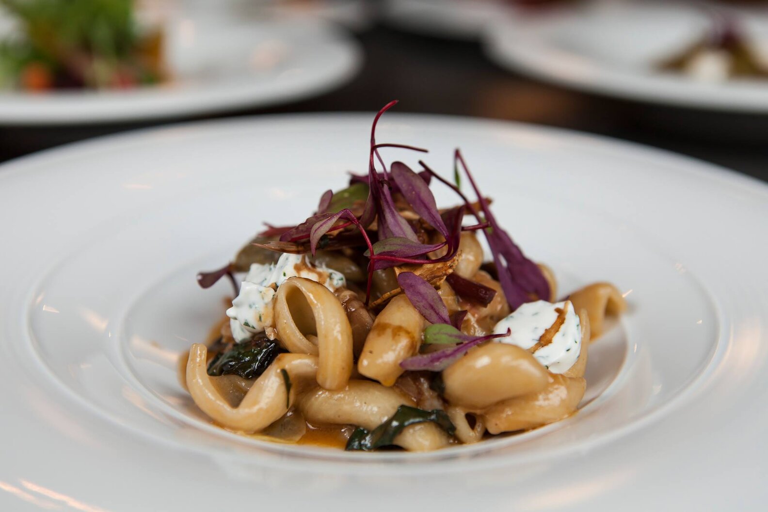 Best Italian Restaurants in Minneapolis St. Paul, MN Thrillist