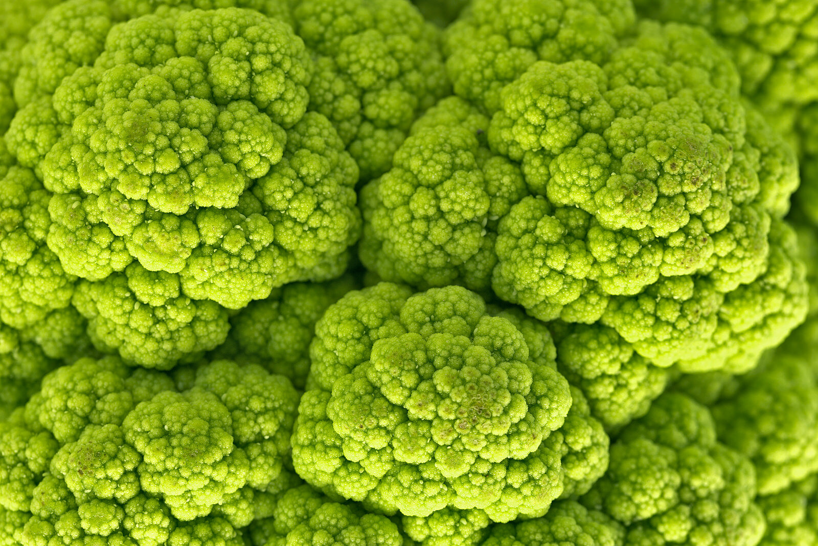 green cauliflower