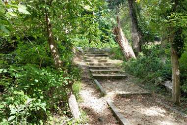 capital crescent trail