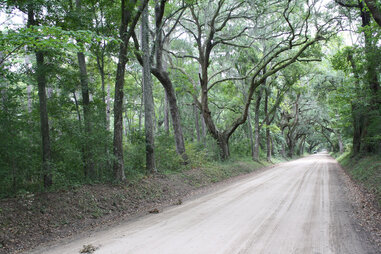 Entrance Road to Botany Bay Plantation