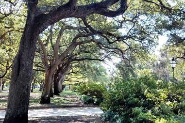 Glimpses of Charleston