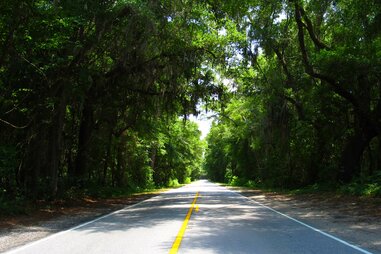 Ashley River Road between Bees Ferry and Summerville