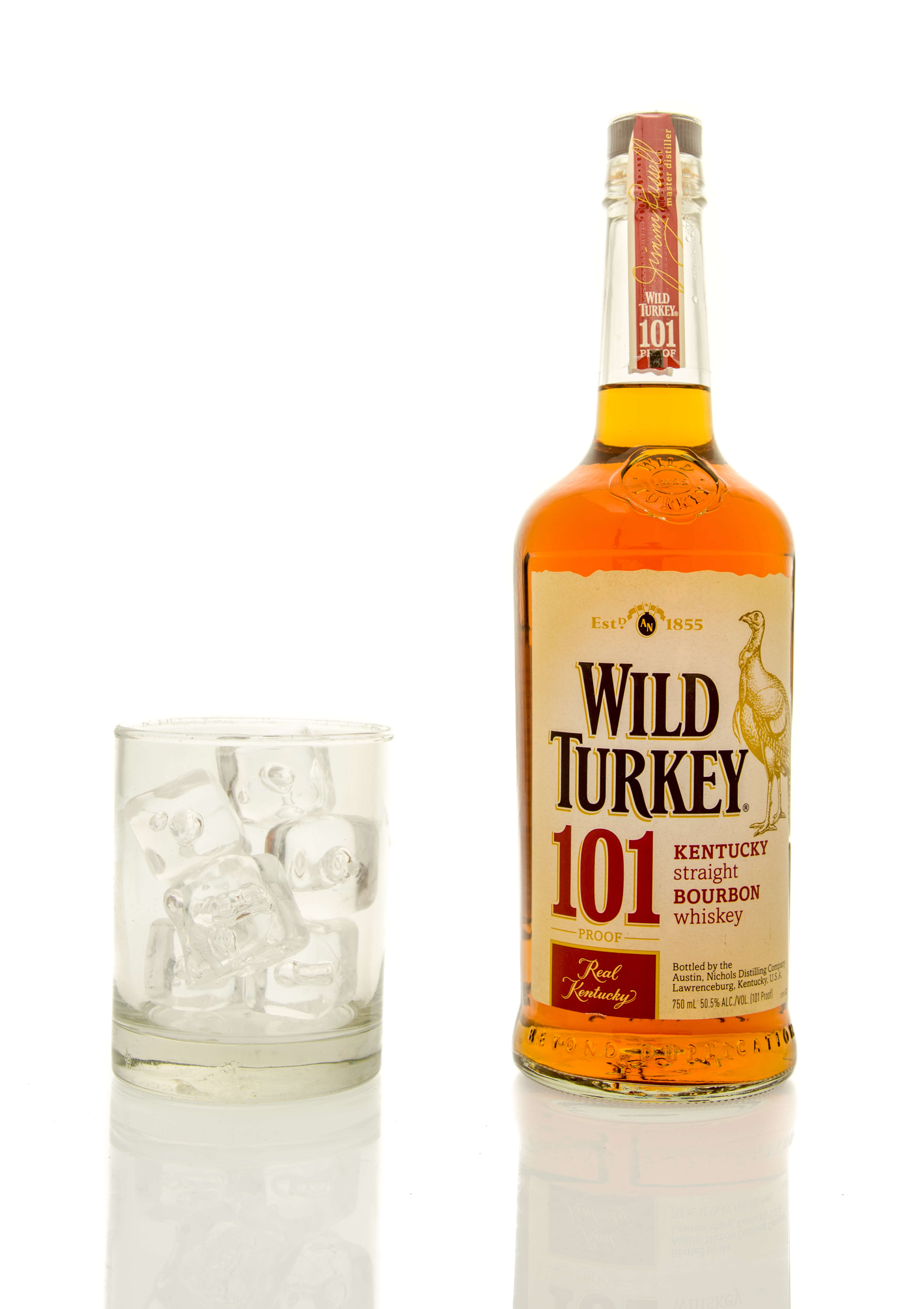Wild turkey