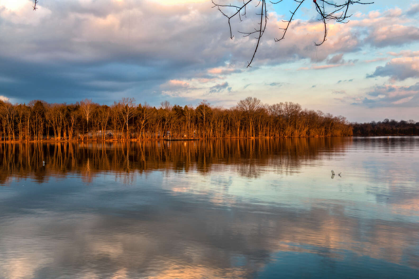 Flickr/Michael Hicks