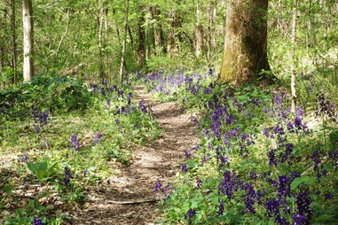 Edgar Evins State Park