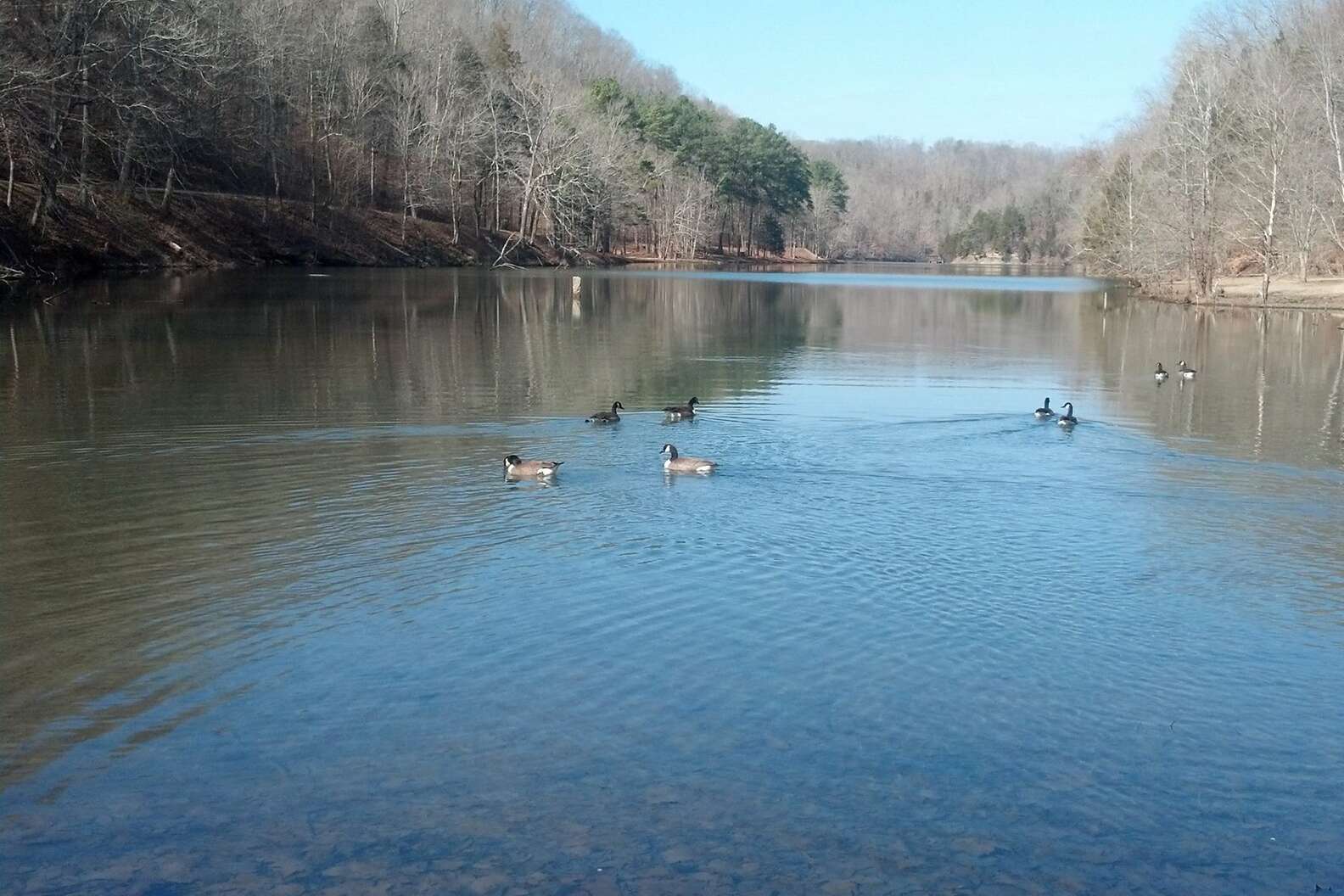 Standing Stone State Park