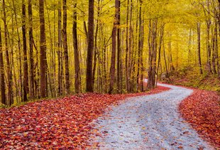 The Most Beautiful Camping Spots Around Nashville