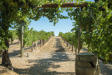 Temecula Valley Winery