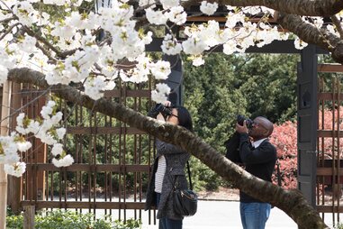 Art of Intuitive Photography