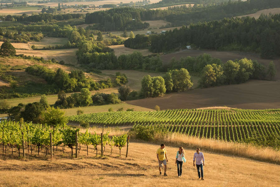 The Best Wineries in Oregon's Essential Willamette Valley Thrillist