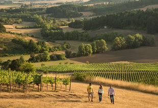 The Willamette Valley Wineries You Should Absolutely Know if You Care About Oregon Wine