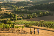 The Willamette Valley Wineries You Should Absolutely Know if You Care About Oregon Wine