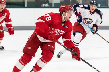 Detroit Red Wings