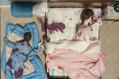 Nutshell Studies of Unexplained Death