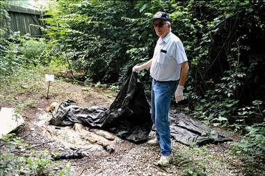 University of Tennessee Rotting Corpse Farm 