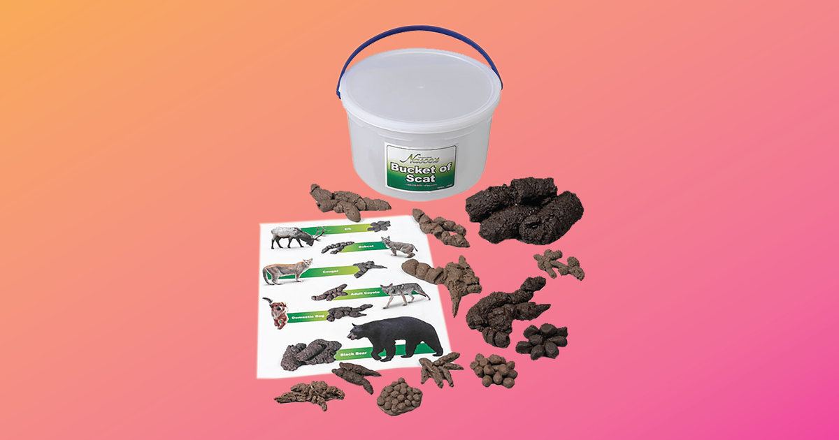 Fake Animal Poop Bucket For Sale on Amazon Thrillist