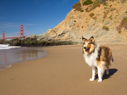 things sf is passionate about