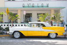 Things People in Miami Are Irrationally Passionate About