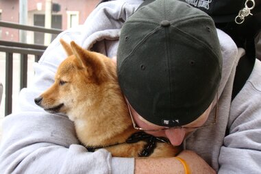 Dog goodbye