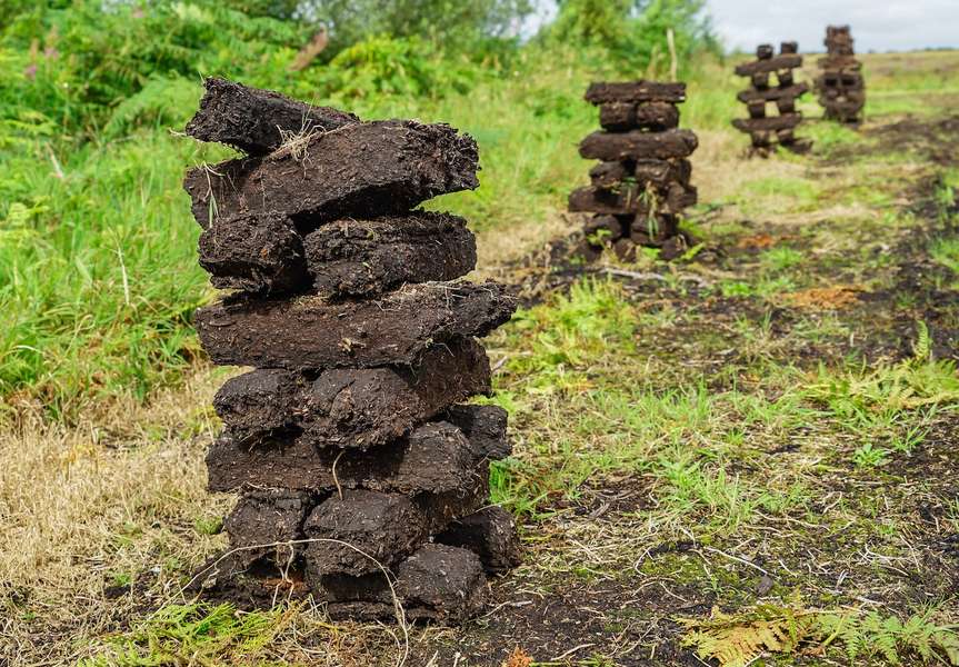 What Is Peat and What Does It Have to Do With Whisky? Thrillist