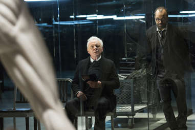 anthony hopkins, jeffrey wright, hbo, westworld