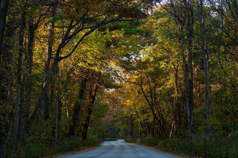 Point Pelee National Park