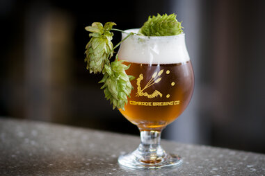 Comrade Brewing Co