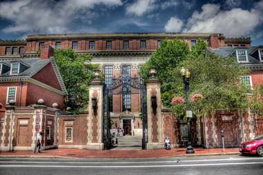 harvard library