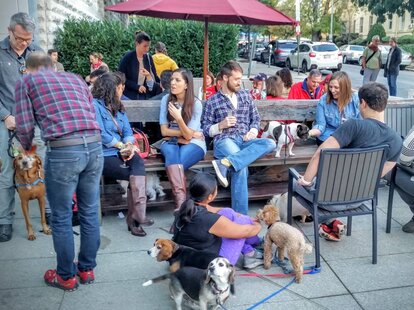 Glen’s Garden Market - Dupont