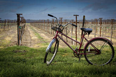 biking in wine country