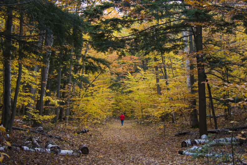 Sleeping Bear Dunes National Lakeshore
