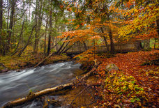11 Michigan Summer Getaways That Are Actually Better in the Fall
