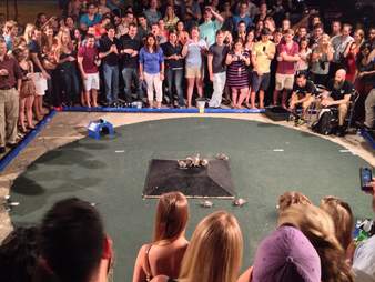 Turtle Racing