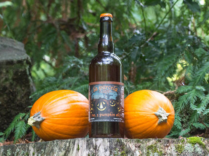 Jolly Pumpkin La Parcela