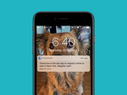 facebook could influence the election