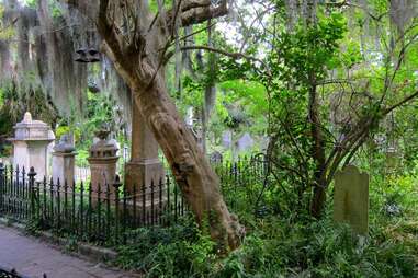 Old Charleston Walking Tours