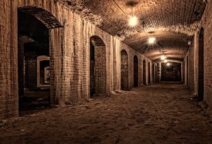 Dare to Discover Indy's Catacombs