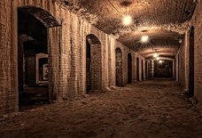 Dare to Discover Indy's Catacombs