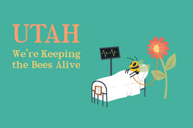 Utah Slogan