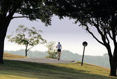 The Absolute Most Beautiful Runs in Dallas