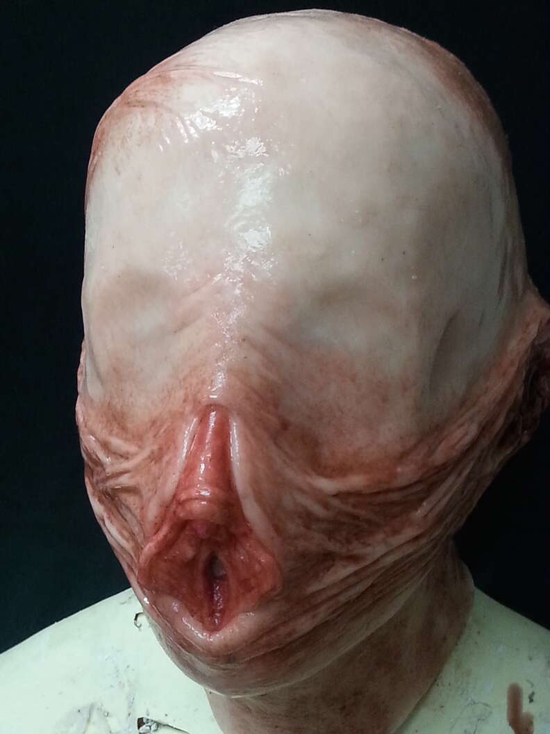 You Can Get a Penis Mask For a Unique Halloween Costume - Thrillist