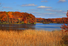 The Best Fall Trails to Hike or Bike in Metro Detroit