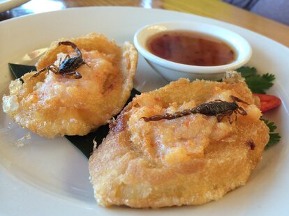 Typhoon Santa Monica