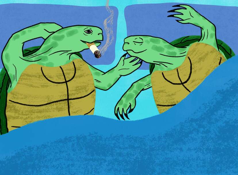 How to Make a Woman Orgasm by Having Slow Sex - Thrillist How to Make a Woman Orgasm by Having Slow Sex - Thrillist