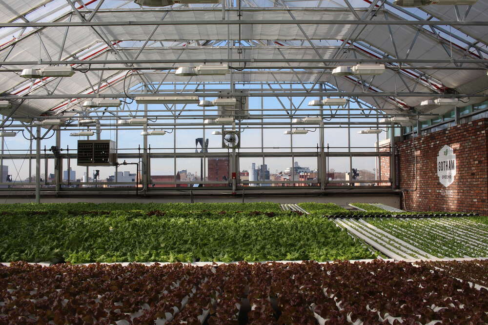 You Can Tour Gotham Greens' Indoor Rooftop Farm in Gowanus