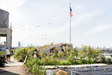Brooklyn grange