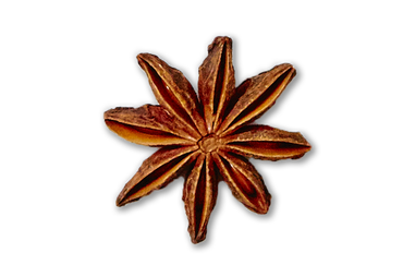 Star Anise garnish Moscow Mule