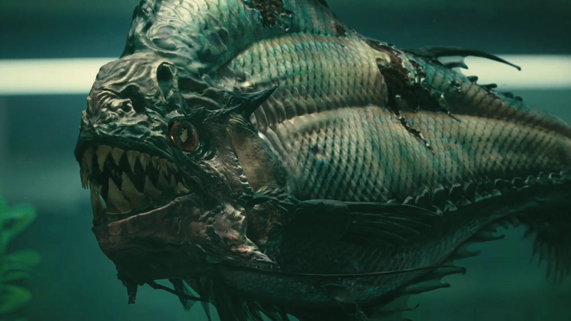 Piranha 3d Fish