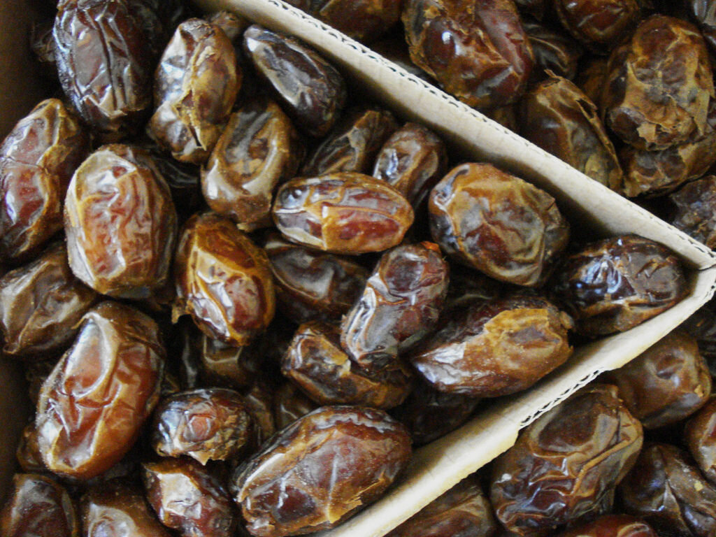 medjool dates