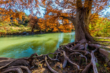 Guadalupe State Park, Texas